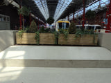 4 rows of decking trough planters