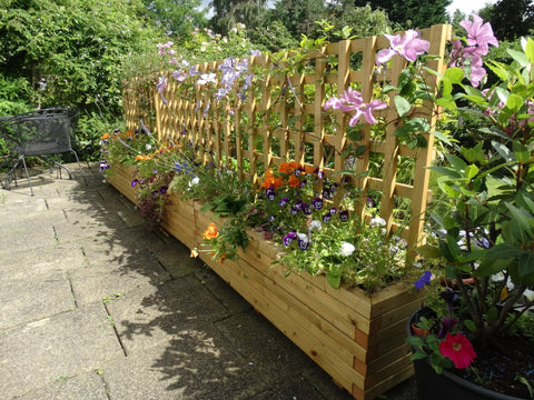 Trough planters with trellis - custom sized trellis, block style