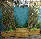 Trough planters with trellis - block style